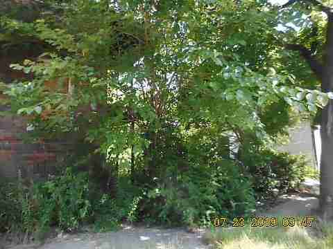 4400 St Clair (6)_m.jpg